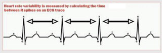 Heart-Rate-Variability